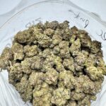 EC Pink g