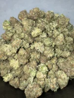 Gelato g - Image 2