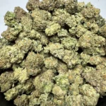 Gelato g