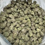 Grape Octane Smalls Indica g