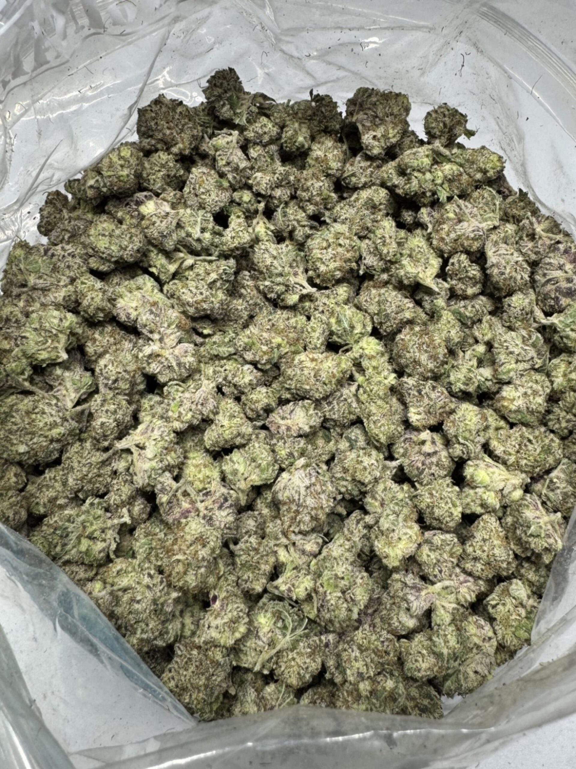 Grape Octane Smalls nf 9-22-26 Grape Octane Smalls Indica g - Image 1