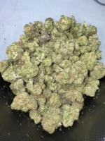 Mango Sherb g - Image 2