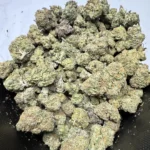 Mango Sherb g
