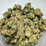 Mocha Berry Hybrid lb