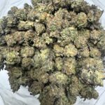 Platinum Gelato lb