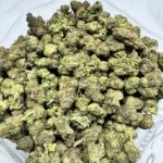 Polynesian Thin Mints Hybrid g
