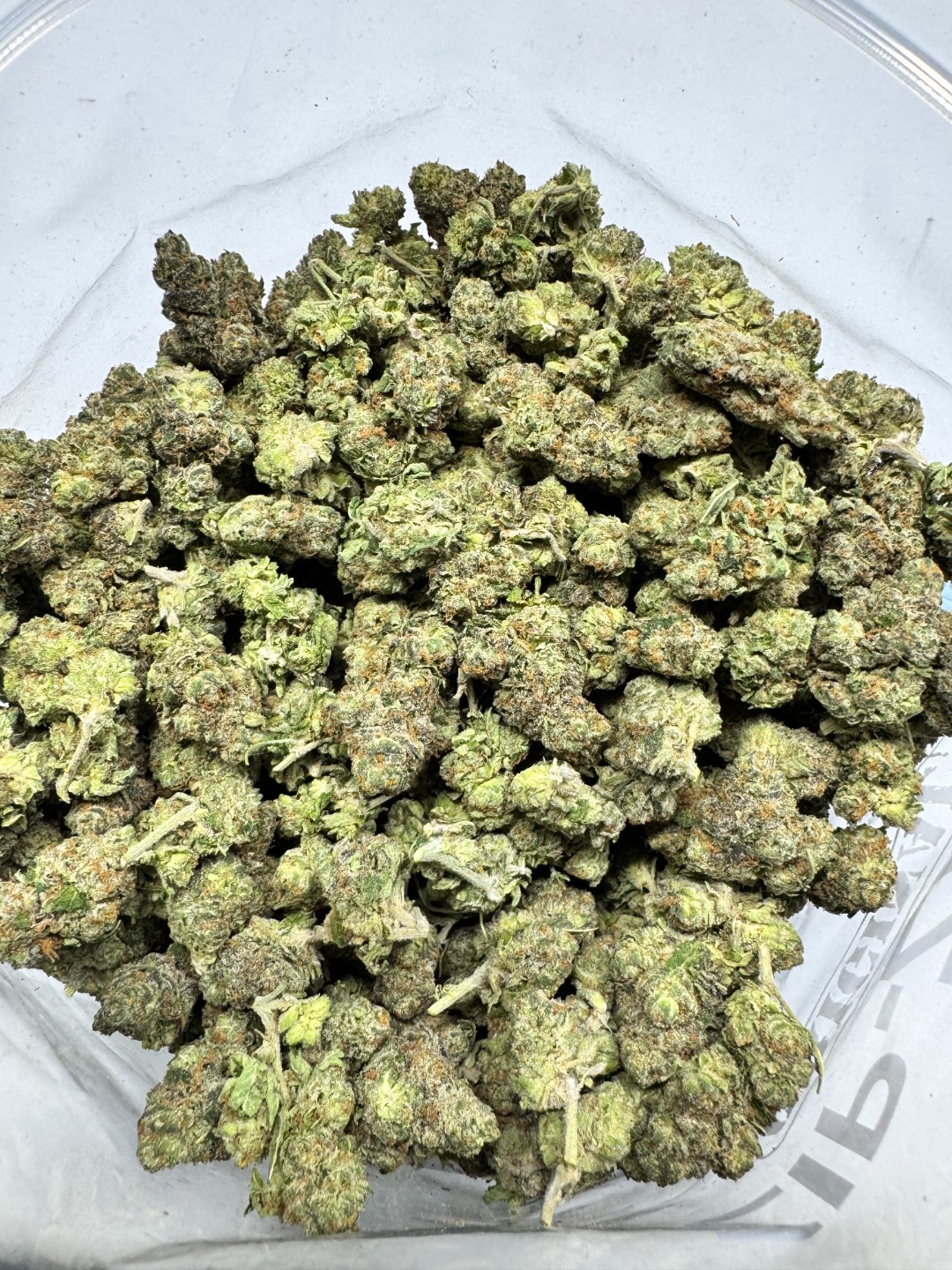 _Polynesian Thin Mints Hybrid nf 9-22-26 Polynesian Thin Mints Hybrid lb - Image 1