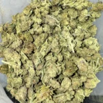 Sunset Sherbet Indica lb
