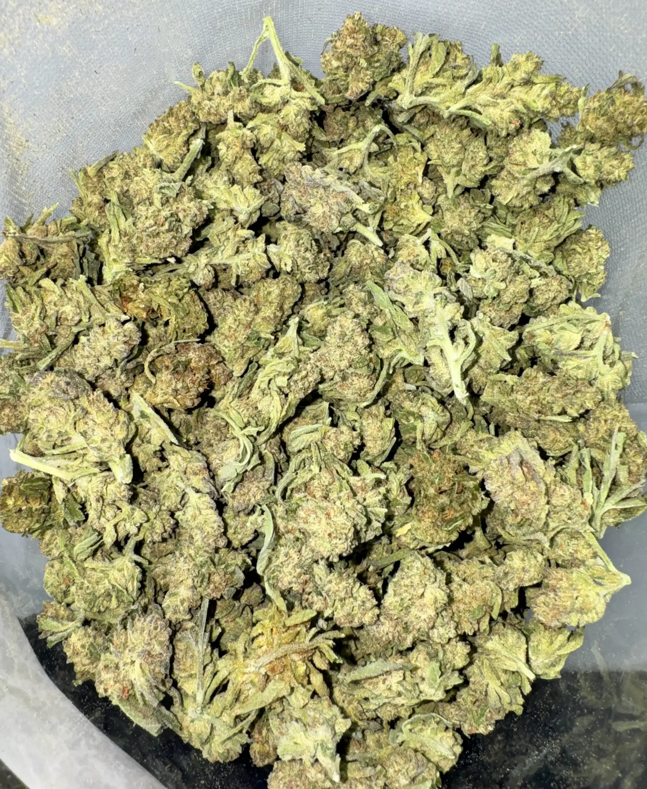 Sunset Sherbet Indica 10-9-26 (1) Sunset Sherbet Indica g - Image 1