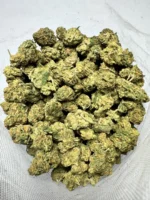 Tropic Thunder g