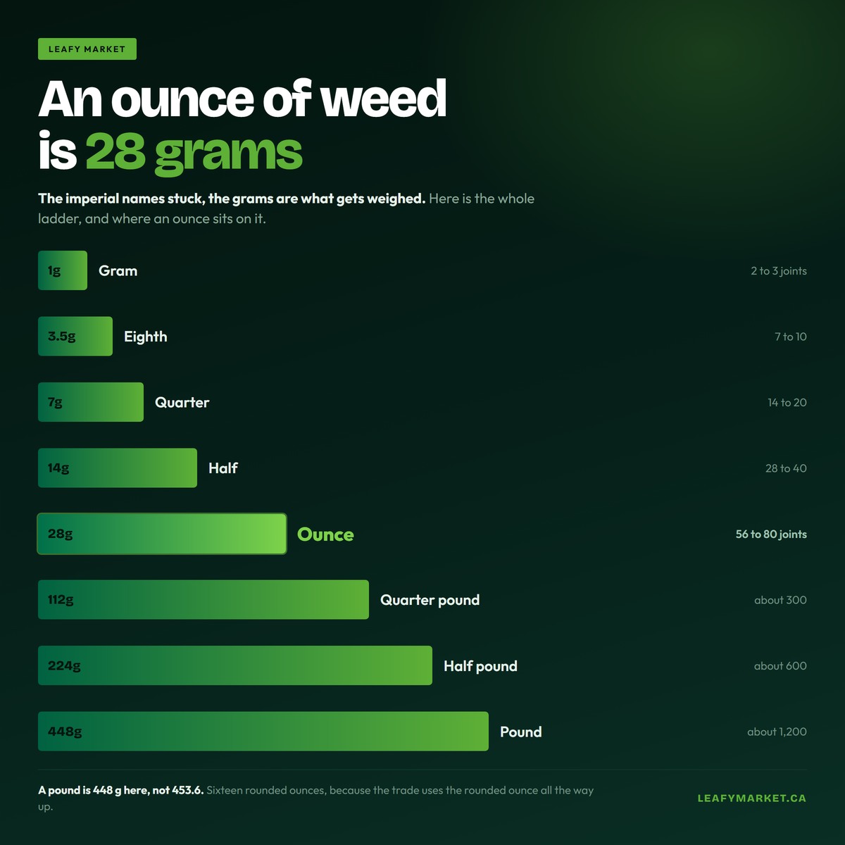 An Ounce of Weed: Grams, What It Looks Like, and How Long It Lasts