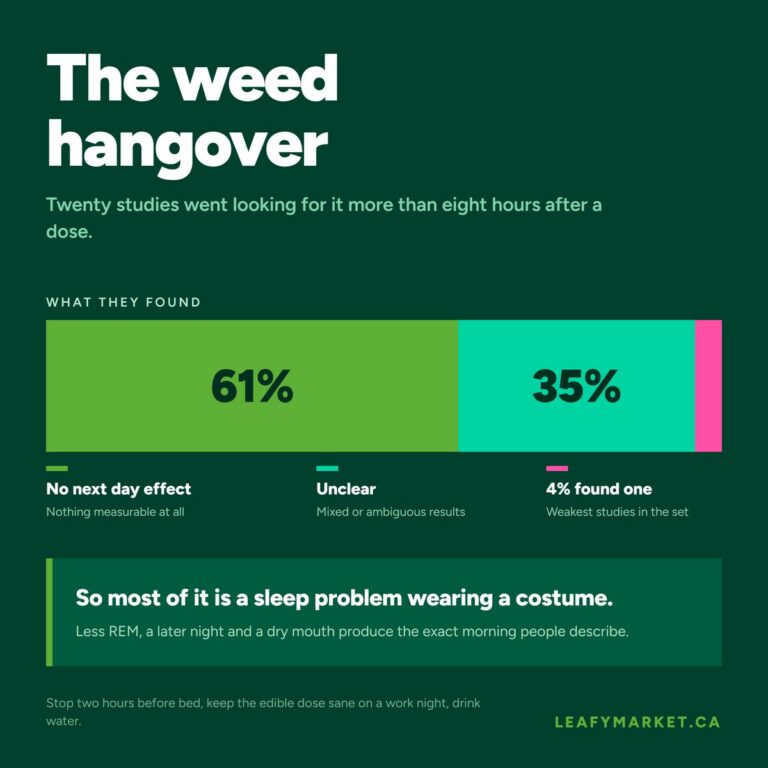 Weed Hangover: Why 20 Studies Could Not Find One